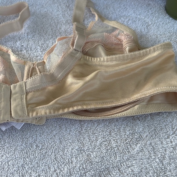 Elegant Lace Trimmed Bra in Cream - Picture 5 of 6